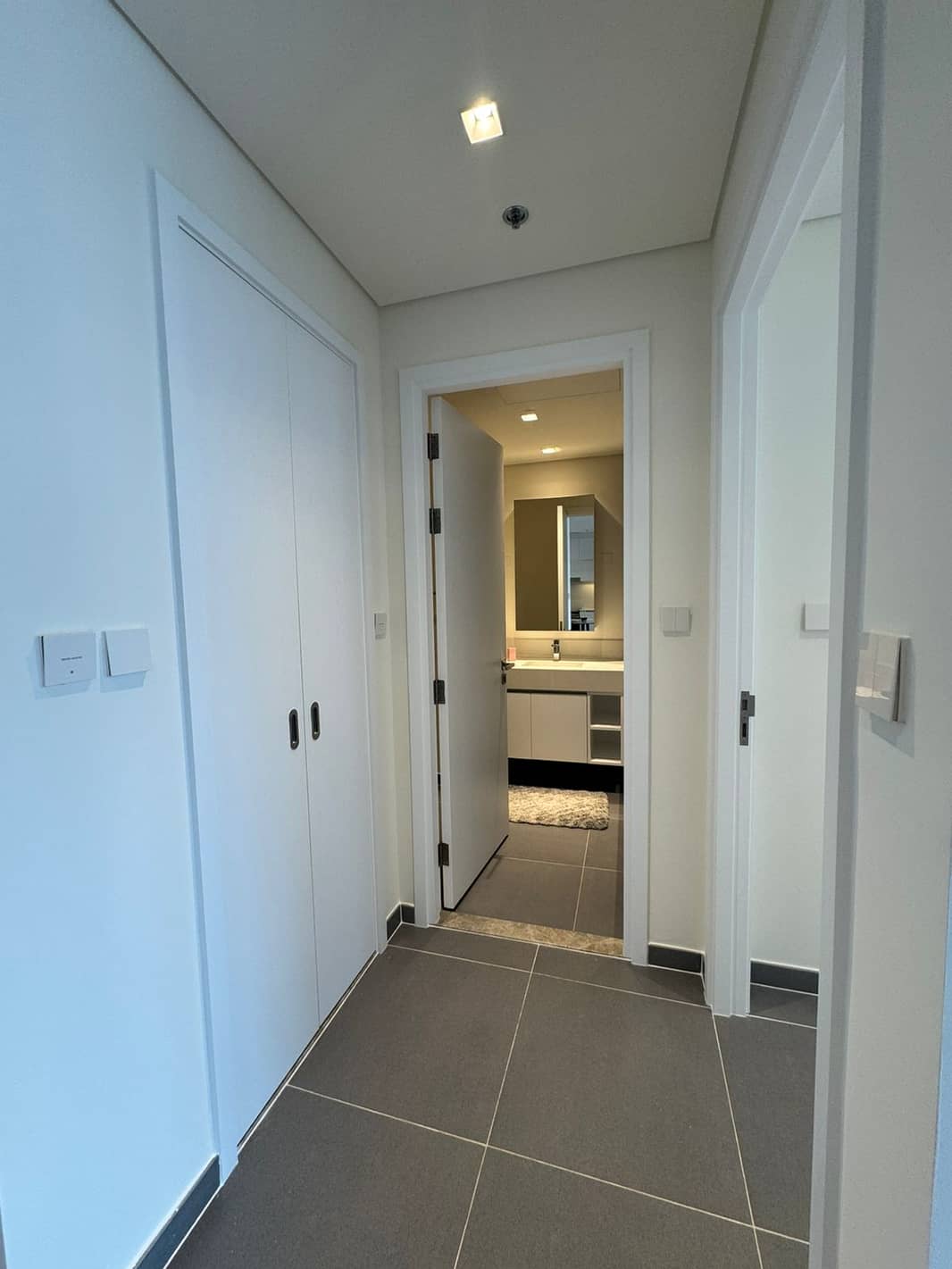 1 Bedroom Apartment, Creek Edge Tower 1 photo 8